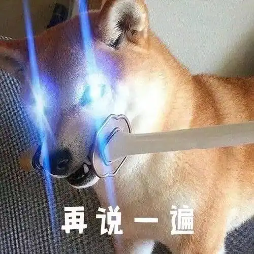 表情包看着我的手,再说一遍
