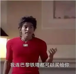 弹幕时代老剧翻红,请收好流星花园表情包合集

