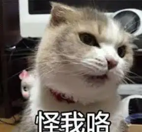 e句话看天下丨大s汪小菲这已经是第几次被传离婚了

