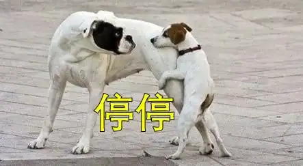 人在屎尿屁面前有多脆弱约会时我一个响屁崩走了爱情...
