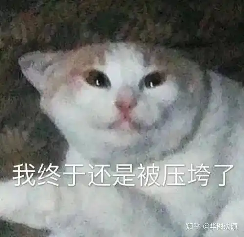 2018法律硕士非法学考研,简答题怎么整理
