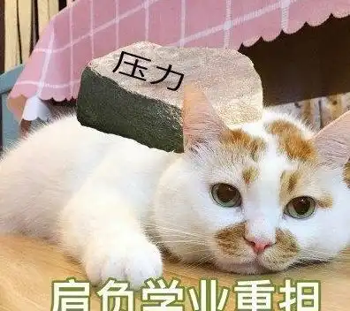 沉迷学习表情包,图有比学习更快乐的事情吗我看没有
