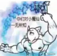 衣服
