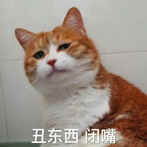 幽默段子笑话今天培训,讲师搞了个互动,每人发一颗葡萄干
