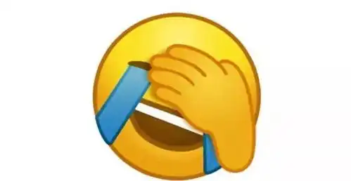 捂脸表情包是什么意思哈

