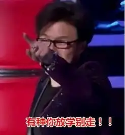 好声音汪峰那英表情包
