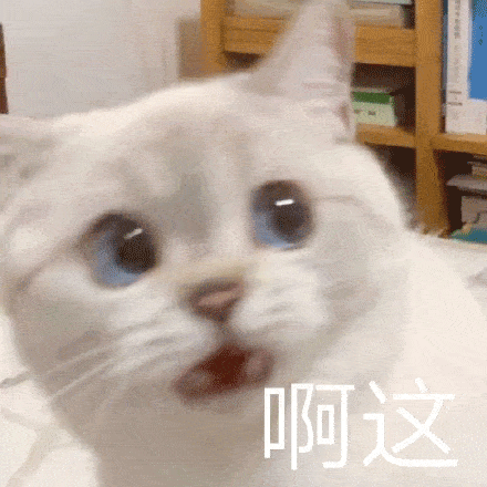 一只超可爱的大眼猫咪表情包合集

