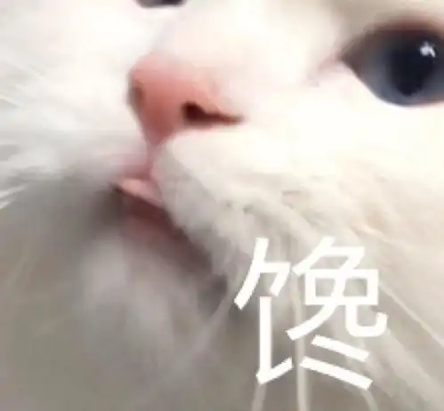 表情包心里没点数