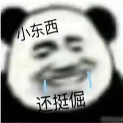 那些很有意思的熊猫头表情包