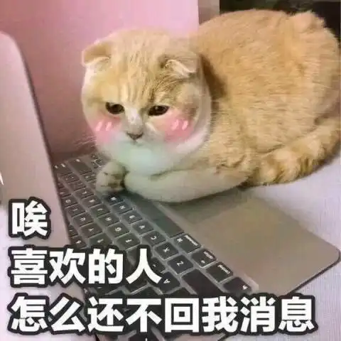 猫猫系列表情包能不能像我一样稳重点儿
