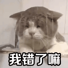 情侣cp认错表情包我这么可爱,原谅我嘛
