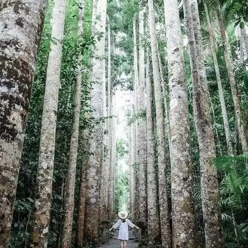 这样的拍照小技巧,还不快get起来
