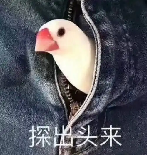 谁能一秒说出图里这个邪魅一笑的大眼线女人是谁慎入
