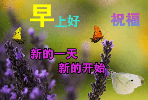 12月21日,最漂亮早上好动态表情图片大全,早晨好美图大全
