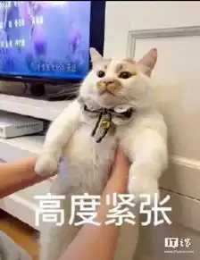 唉﹏太可怕了,老哥们能不能进来聊聊
