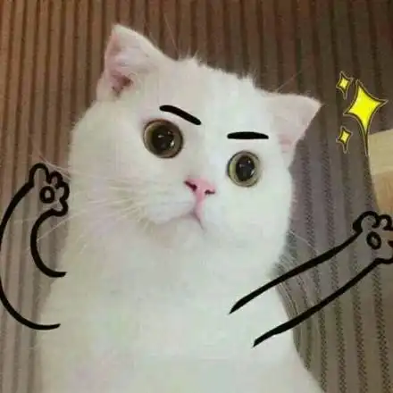 软萌猫咪表情包