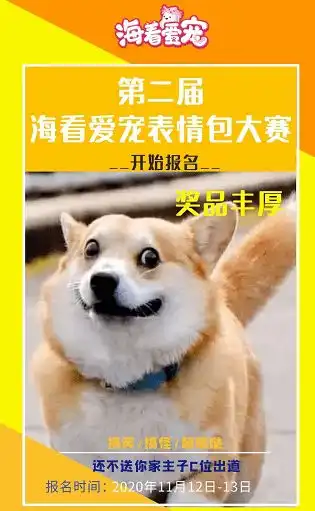 iptv实战剖析瞄准铲屎官们催生的千亿生意