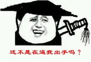 小睿睿别逼我出手!