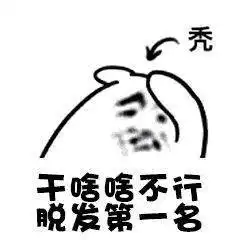 沙雕表情包干啥啥不行,单身我最行
