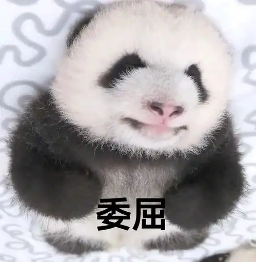 哔哩哔哩专栏
