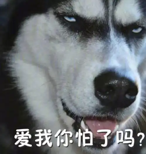 微笑表情包图片含义二哈