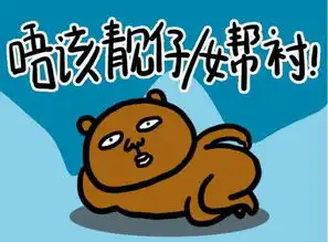 注意,南普专属表情包出炉,不用南普表情包都不好意思在南宁混
