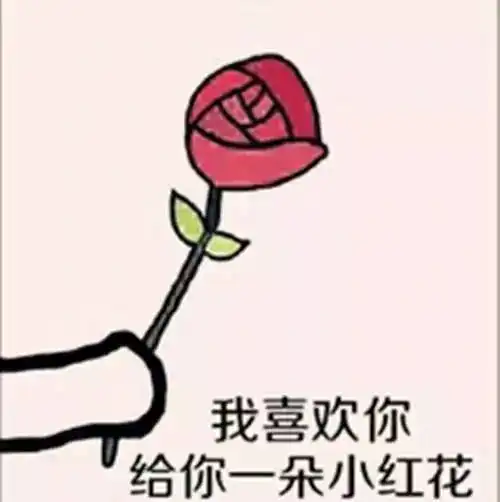 免费海啸演唱会,免费放飞萤火虫,免费送玫瑰约饭不如带她去大浦免费浪
