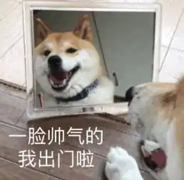七夕节已过,单身狗汪为何还不肯放过我们,活着真难
