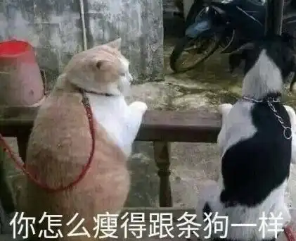 天天喊丧的年轻人,2018真的一事无成吗
