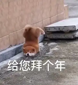 2021拜年表情包动态图片可爱除夕春节祝福图片搞笑大全
