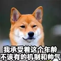 柴犬丨汪界表情包的鼻祖
