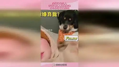 当狗狗舔主人,不料被主人故意躲避,那小表情简直笑死