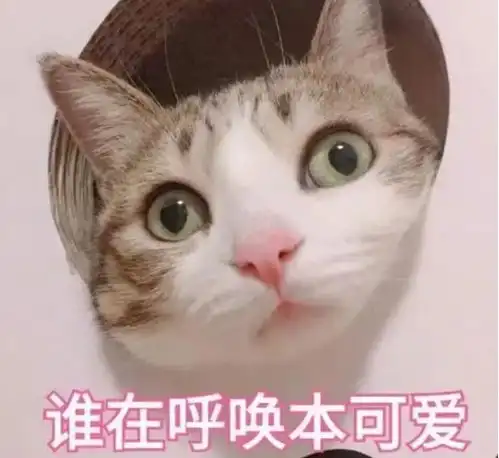 告别游戏荒switch上好玩不贵的7款游戏
