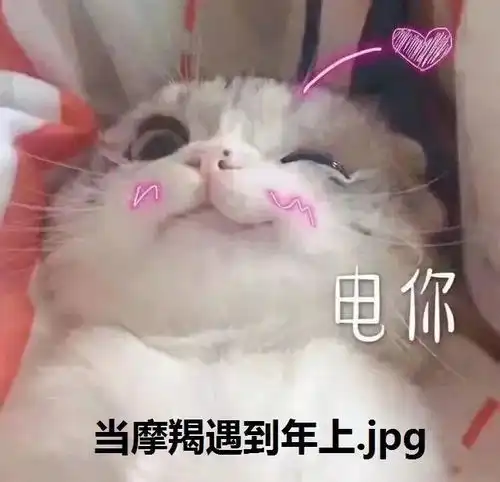 想爱就爱,年龄差再大也不在意的星座
