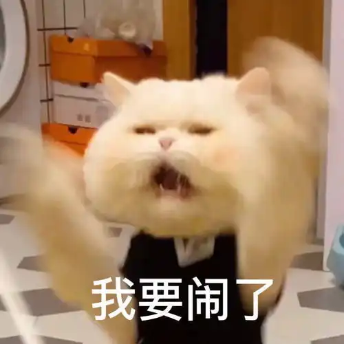 宠物表情包出处表情包