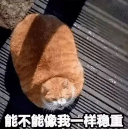 第72期喵表情水果摊阿姨都承认你甜过初恋
