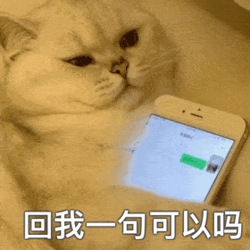 表情包你很拽哦
