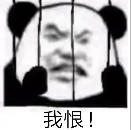 表情包丨表情包动图开车0621期
