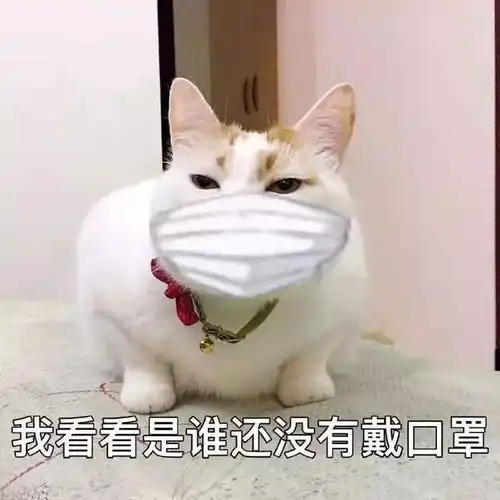 表情包我看看是谁还没有戴口罩
