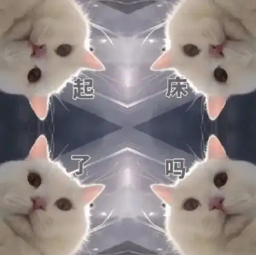 养了猫,闹钟就是个废物了
