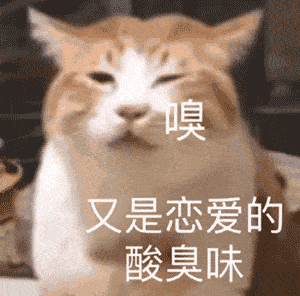 猫咪表情包接下来你是不是要凶我了
