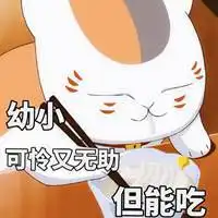 猫咪老师表情包图片微信头像图片大全
