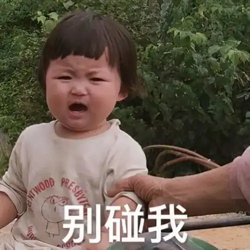 罗熙表情包合集略略略
