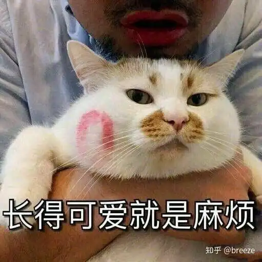 微信网红表情包大全