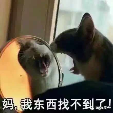 放假了,万万没想到,原来在家的你是这么逗
