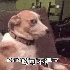 每周课表8句得罪学长学姐的话,新学期千万别踩雷
