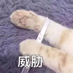 沙雕表情包假如我年少不自卑妹妹肯定一大堆
