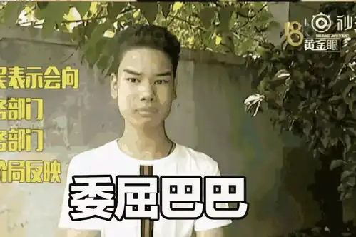发际线男孩一夜全国爆红4万块修的关公眉果然不一样
