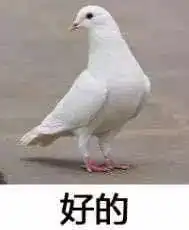 回想第一次约会的蠢哭经历,至今无法原谅自己
