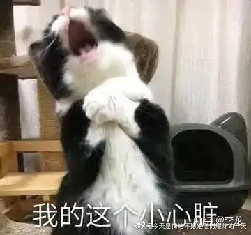 python中for循环的用法python中的for循环
